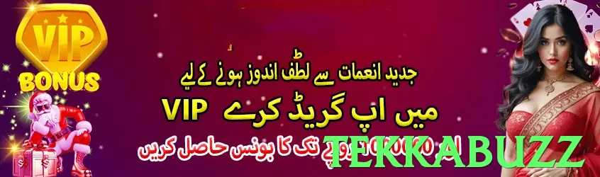 tekkabuzz Pakistan - 3