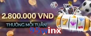 95winx