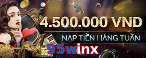 95winx