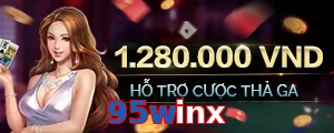 95winx