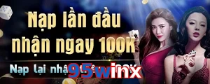95winx