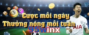 95winx